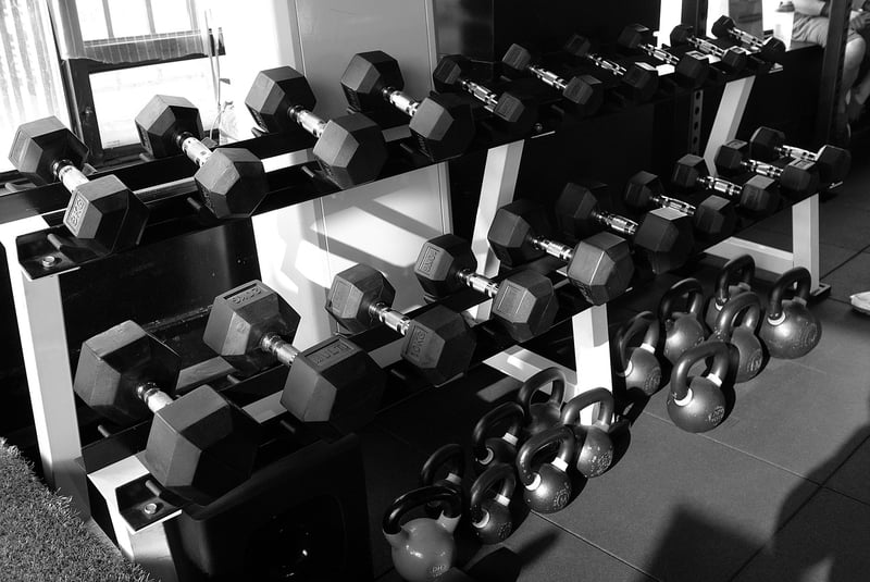 Fitness Dumbbells